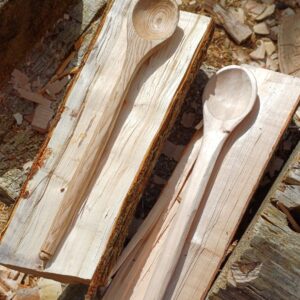 Stage taille de cuillère à Achères-la-Forêt (77)