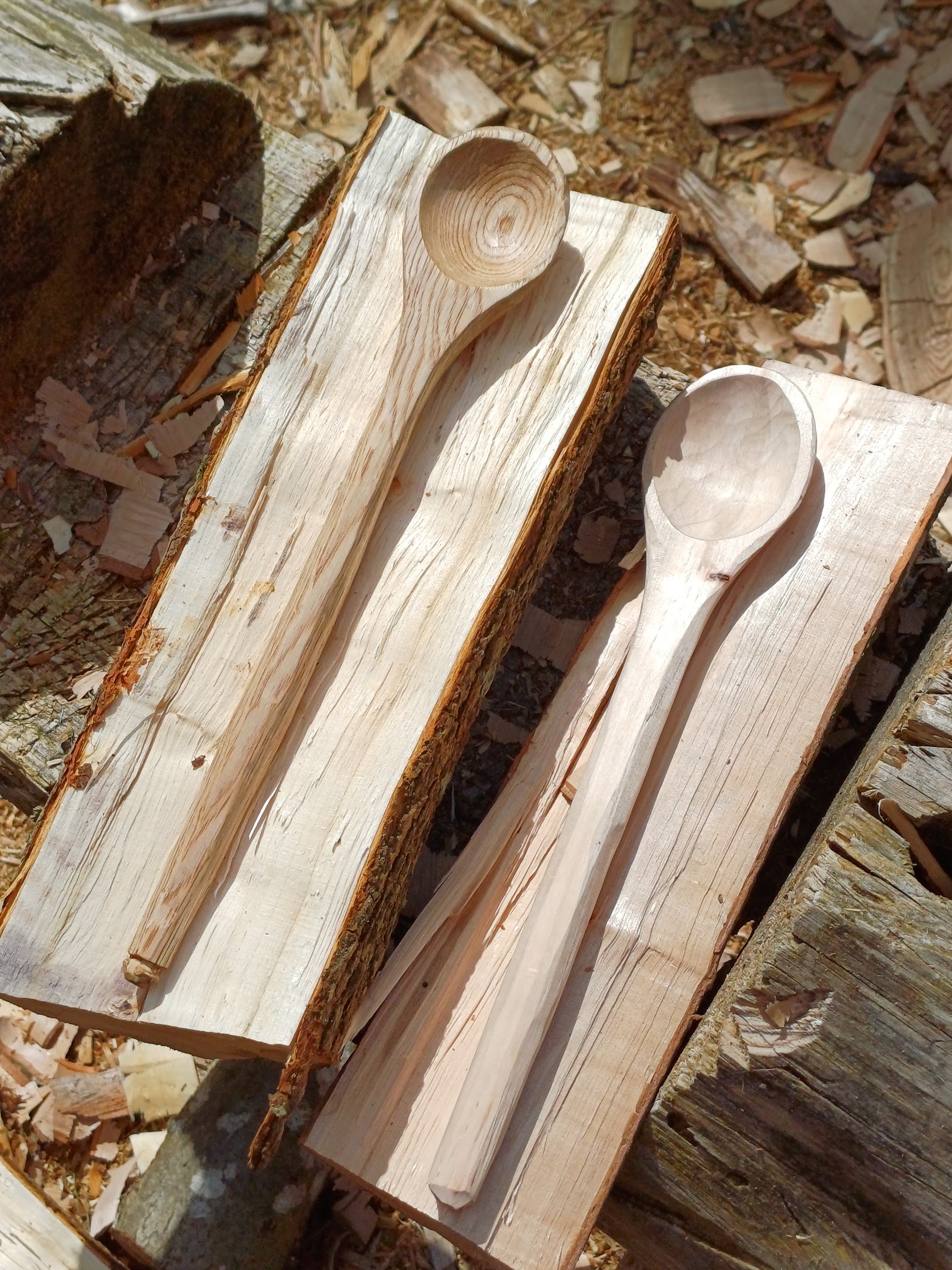 Stage taille de cuillère à Achères-la-Forêt (77)