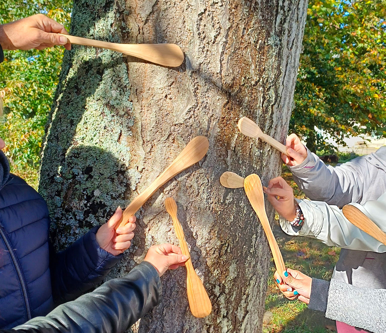 rando-sculpture en forêt – Image 2